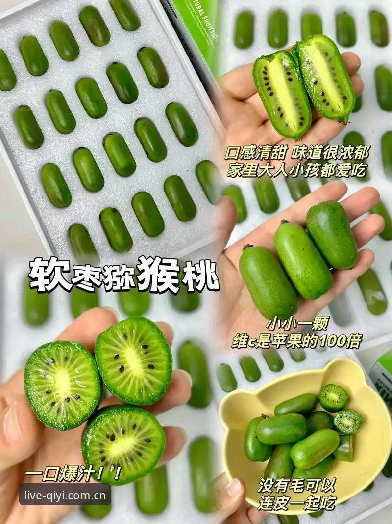 奇异果体育热爱不掉线功能详解：从入门到精通的使用指南